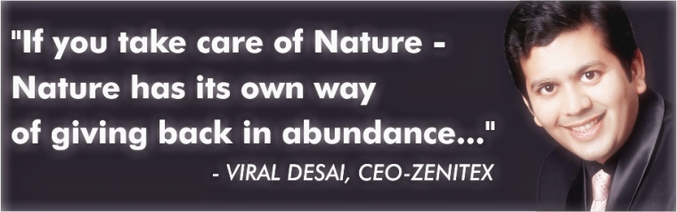viral desai zenitex hearts@work nature quote mystical face